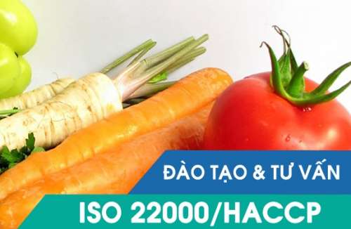 Kế hoạch tư vấn ISO 22000:2018