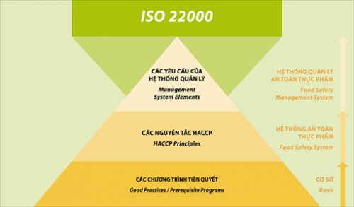 Thủ tục chứng nhận ISO 22000:2018