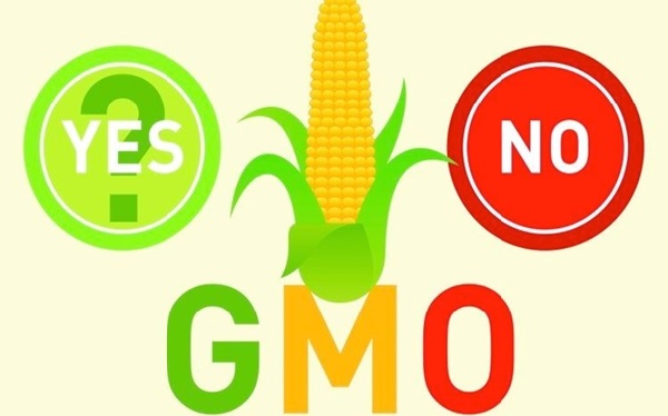 Sản phẩm hữu cơ biến đổi gen bị nghiêm cấm sản xuất nếu muốn đạt được tiêu chuẩn NASAA – tiêu chuẩn hữu cơ Úc