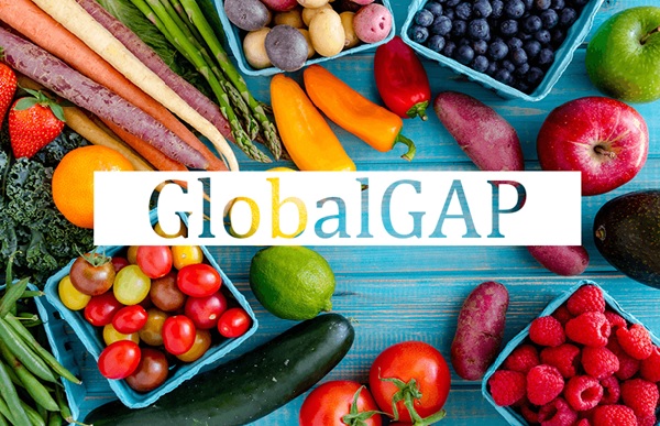 GlobalGAP là gì? Ý nghĩa của tiêu chuẩn GlobalGAP đối với nhà sản xuất và người tiêu dùng