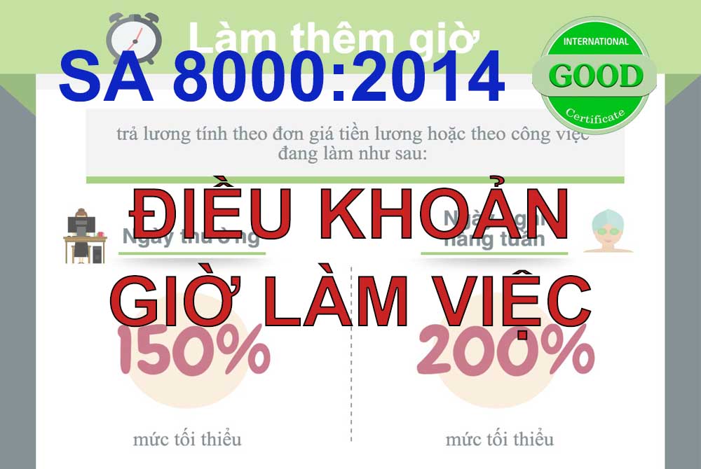 Điều khoản giờ làm việc sa 8000