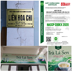 22000 lien hoa chi