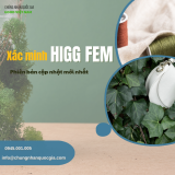 tieu chuan higg fem