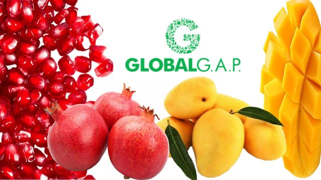 Global Gap 2