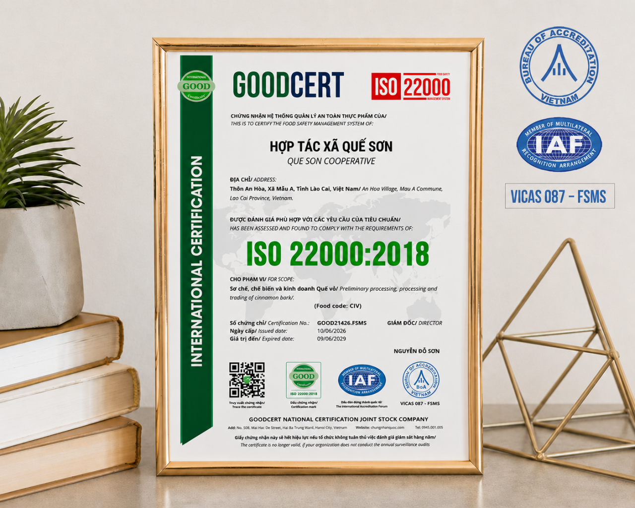chung nhan iso 22000 iaf boa good viet nam