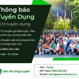 tuyen dung t9 2024