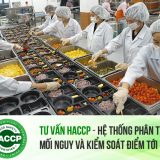 Tư vấn Haccp Hệ thống Phân tích Mối nguy và Kiểm soát Điểm tới hạn