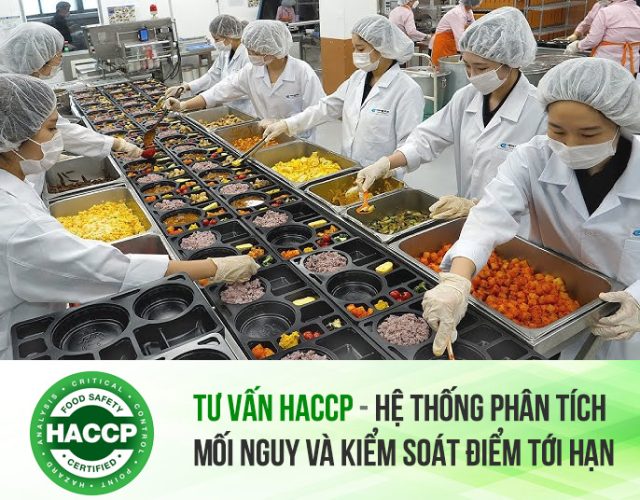 Tư vấn Haccp Hệ thống Phân tích Mối nguy và Kiểm soát Điểm tới hạn