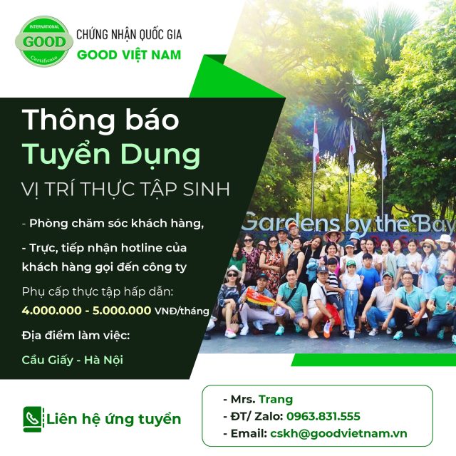 tuyen dung t11 2024