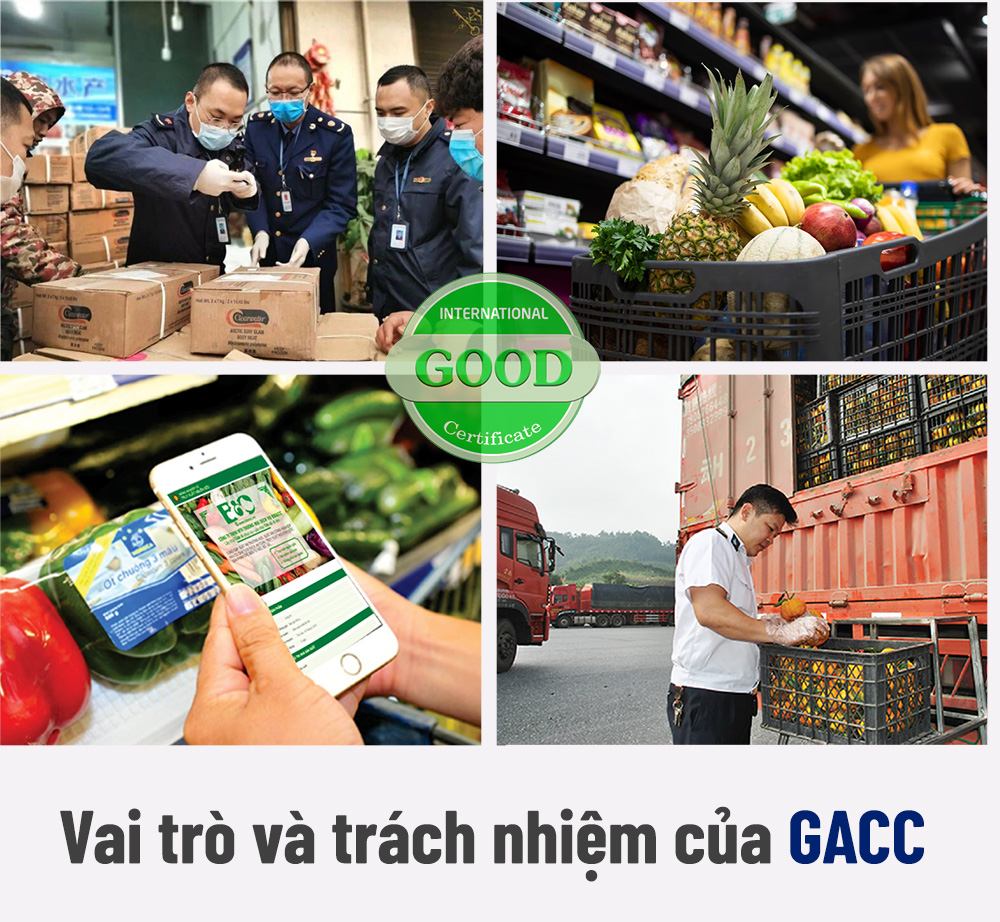 vai trò và trách nhiệm của gacc