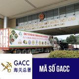 đăng ký mã số gacc