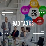 đào tạo 5s