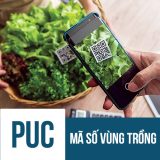 mã số vùng trồng xuât khẩu sang trung quốc