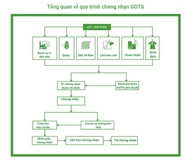 GOOD VIỆT NAM (1)