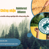 Rainforest Alliance tieu chuan nong nghiep ben vung