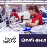 tieu chuan higgfem