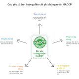 Các yếu tố ảnh hưởng đến chi phí chứng nhận HACCP