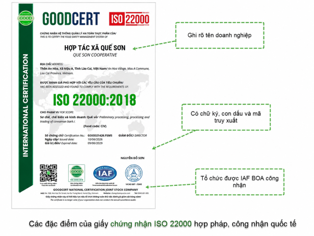 giay chung nhan iso 22000 hop phap