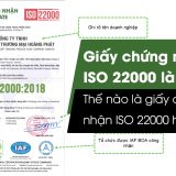 giay chung nhan iso 22000 hop phap la gi