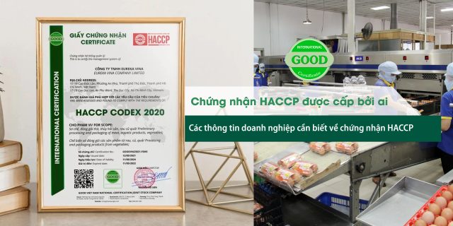 Chứng nhận HACCP được cấp bởi ai