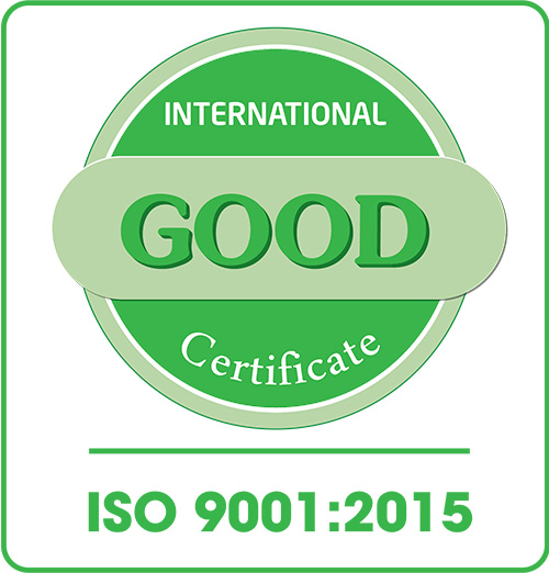 logo 9001 goodvn