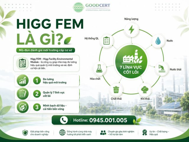 higg fem là gì