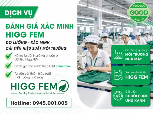 Đánh giá higgfem