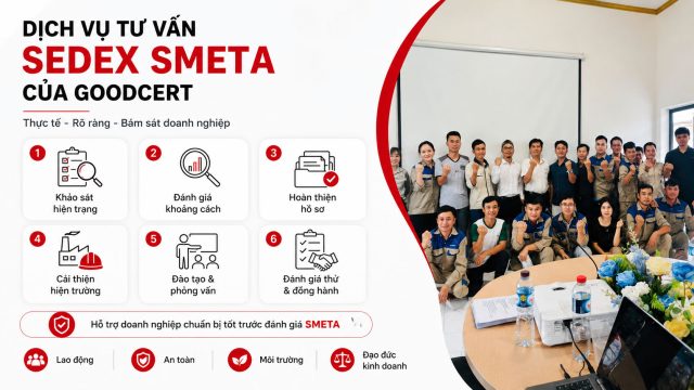 tu van sdex smeta good cert