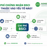 yeu to anh huong chi phi chung nhan bsci